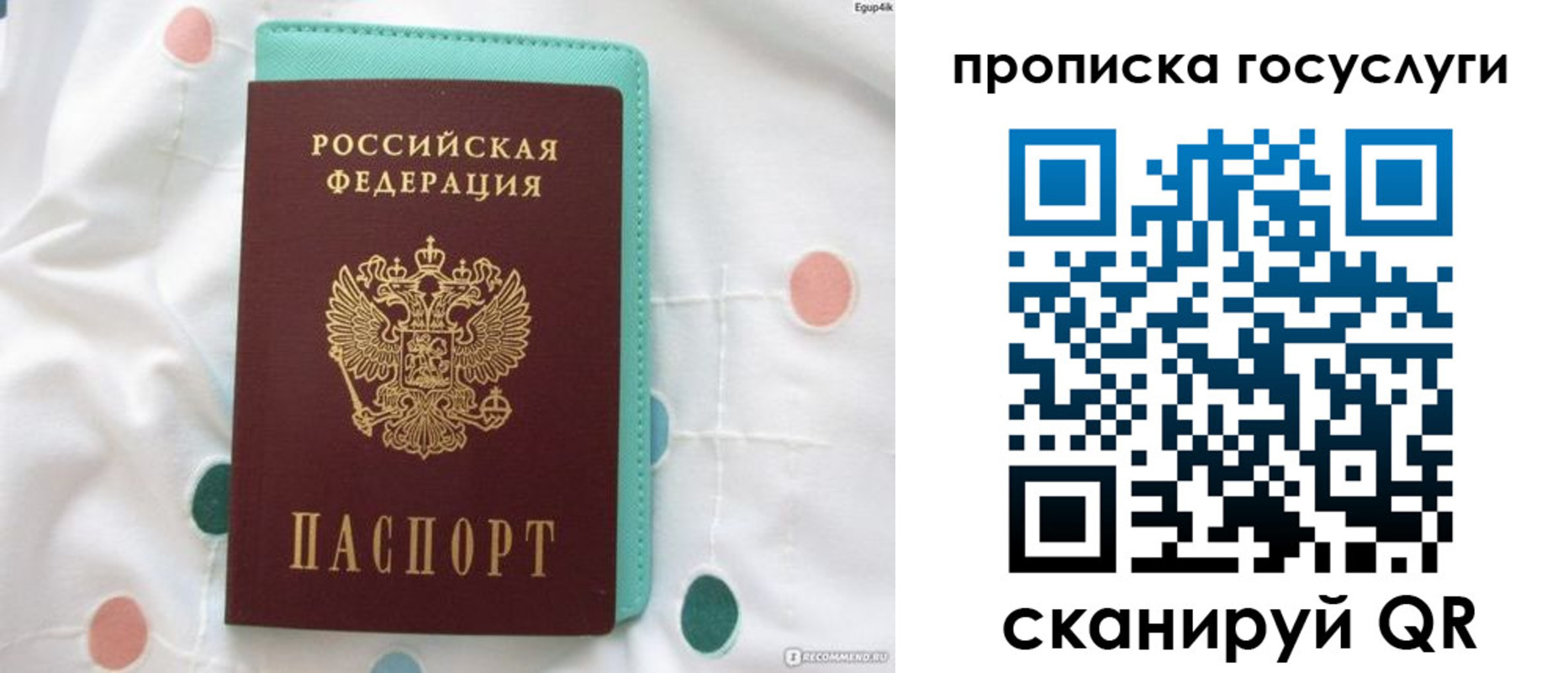 прописка поиск в Иланском